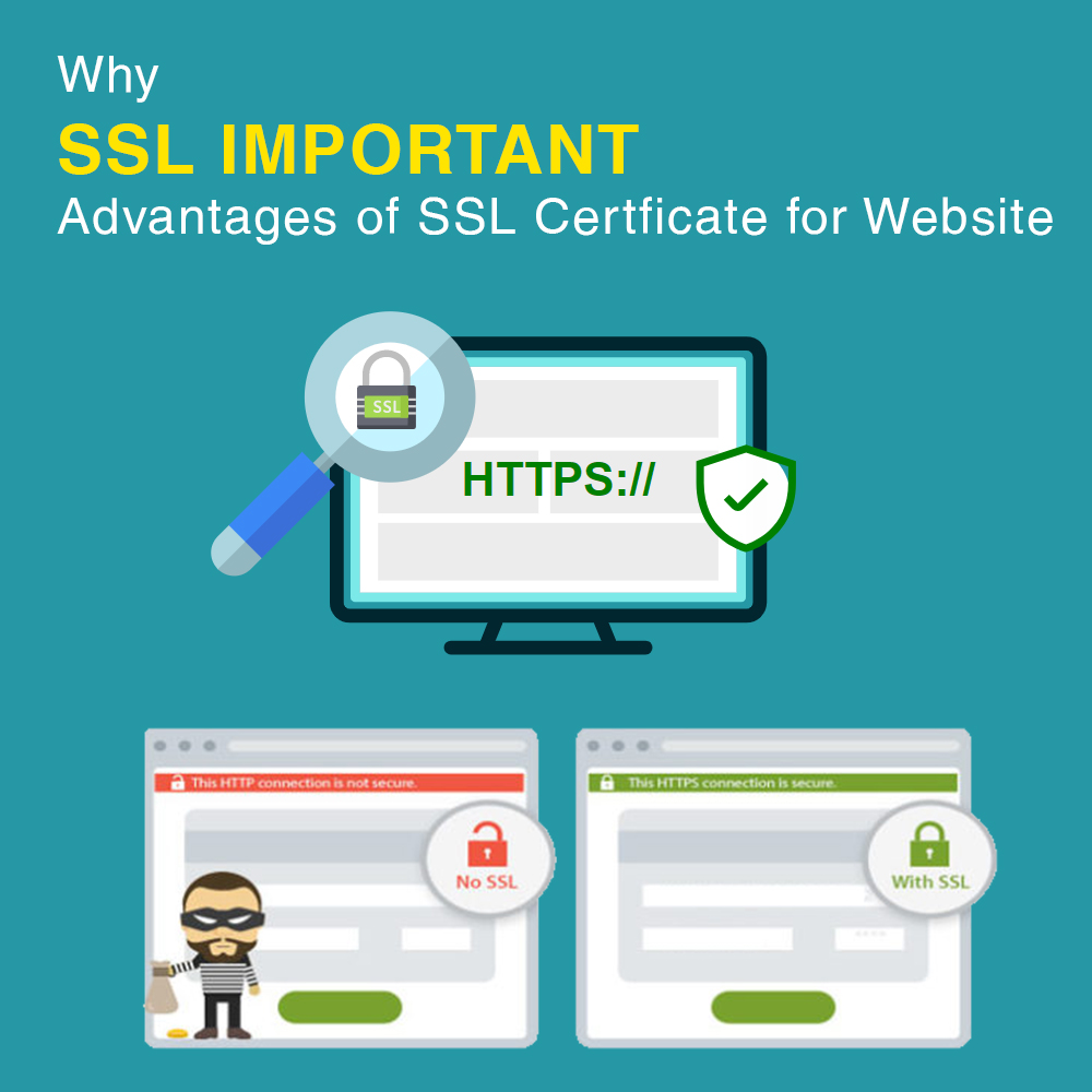 Siteadda - Why-SSL-is-Important