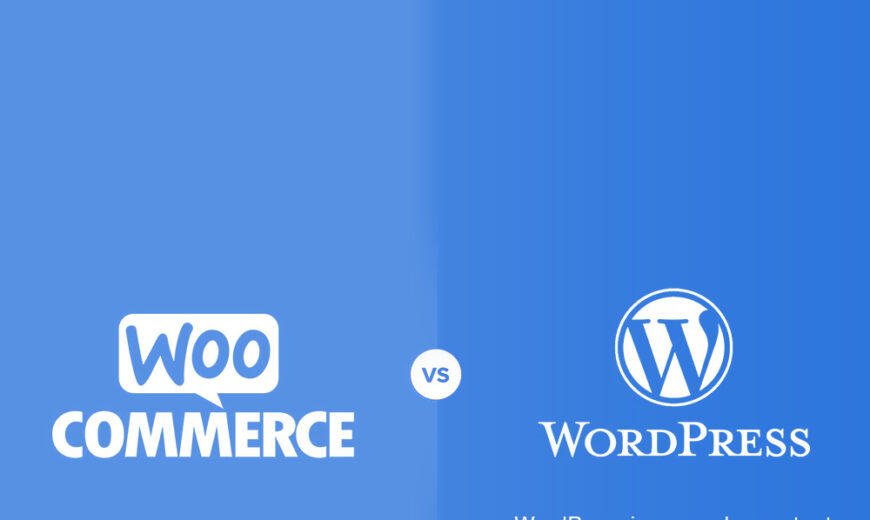 Woocommerce vs Wordpress Website
